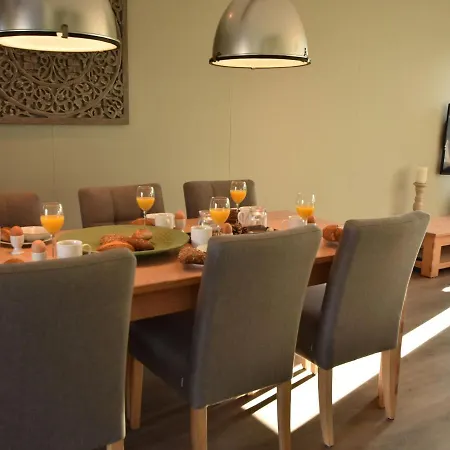 Premier In Schoorl With Garden Villa